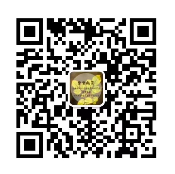 孙小琴个人微信.jpg 孙小琴个人微信.jpg